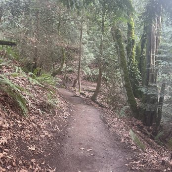 Margaret's Way - Up - Hiking Near Me - Issaquah, Washington Margaret's Way - Up - Hiking Near Me - Issaquah, Washington