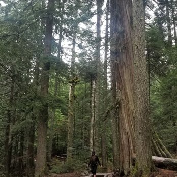 Franklin Falls Trailhead - Hiking Near Me - North Bend, Washington