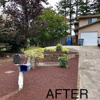 Tony's Landscaping - Left side - after - Tree Services Near Me Tony's Landscaping - Left side - after - Tree Services Near Me