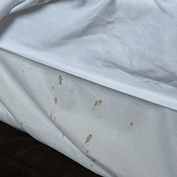 Stains on fitted sheet/mattress cover Stains on fitted sheet/mattress cover