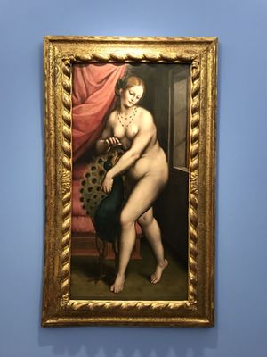 Museo Castello del Buonconsiglio by null