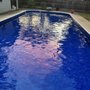The Pool Shark