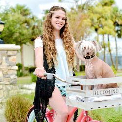 Power Orthodontics