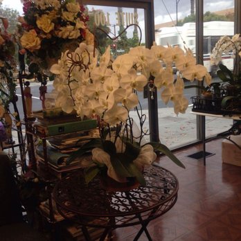 Van Florist - Florists Near Me - San Jose, California Van Florist - Florists Near Me - San Jose, California