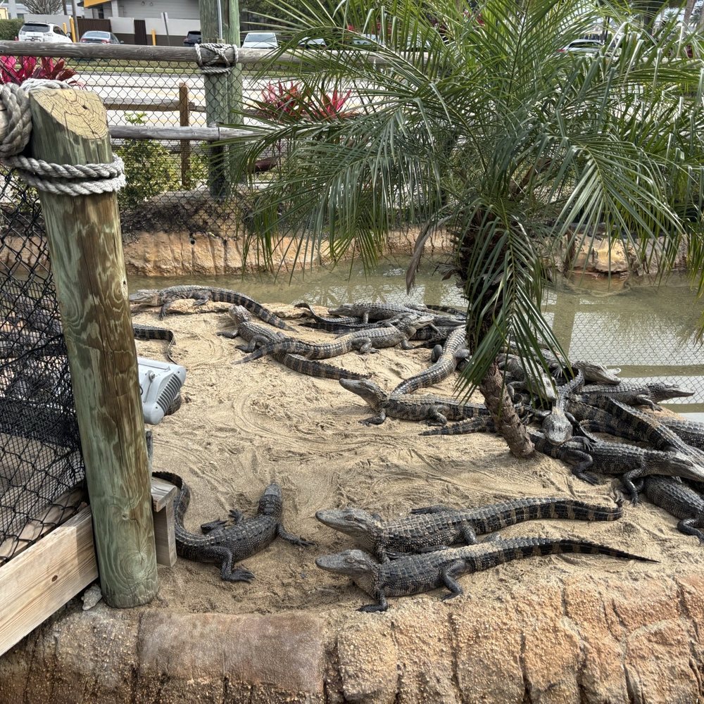 Congo River Golf - Mini Golf Near Me - Orlando, Florida Congo River Golf - Mini Golf Near Me - Orlando, Florida