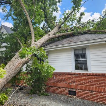 Forrest Tree Service - This is a tree we removed off house after storm - Tree Services Near Me - Durham, North Carolina