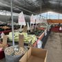 Photo of Gonzalez Produce