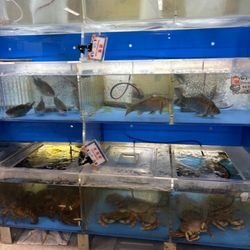 HK Asian Market - Fresh fish