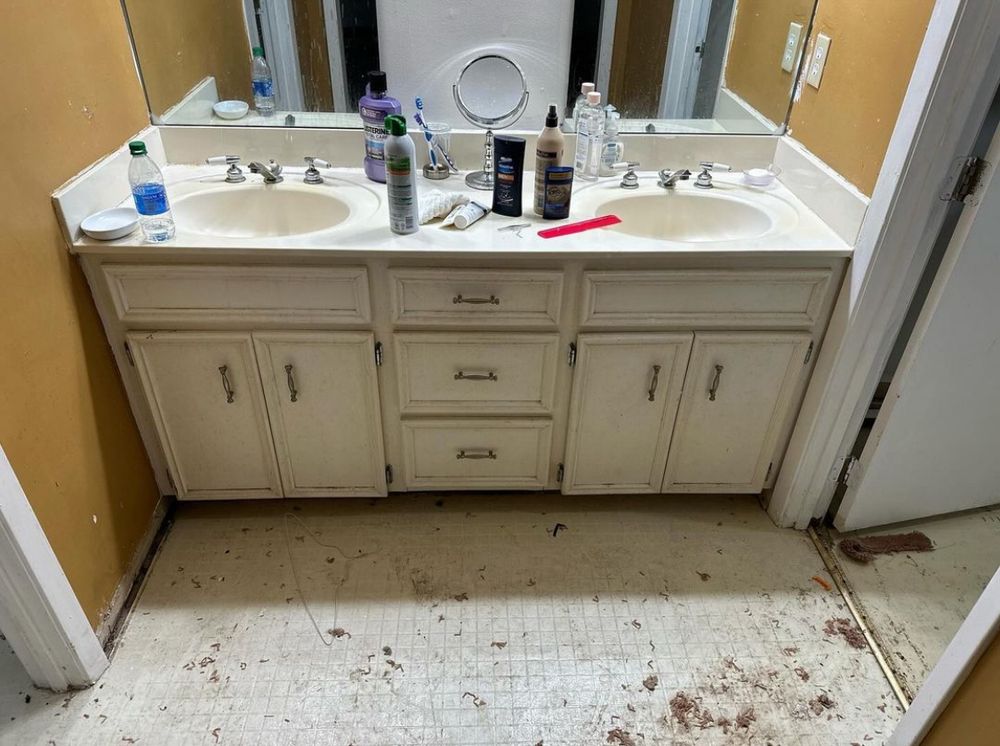 Slide of Professional Grade Renovations