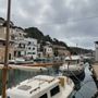 Photo of Ocean Charter Mallorca