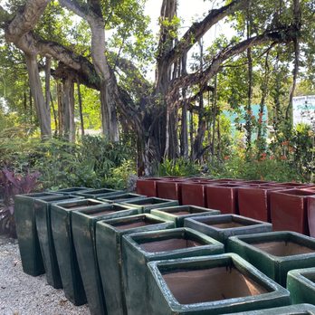 Banyan Tree Garden & Boutique - Nurseries & Gardening Near Me - Islamorada, Florida Banyan Tree Garden & Boutique - Nurseries & Gardening Near Me - Islamorada, Florida