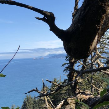Cape Lookout State Park - Parks Near Me - Tillamook, Oregon Cape Lookout State Park - Parks Near Me - Tillamook, Oregon