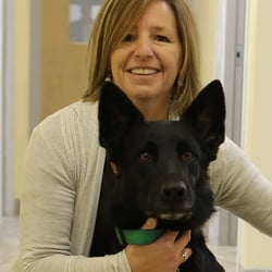 Meadowbrook Veterinary Clinic - North - Dr. Gutzwiller