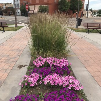 uinta county office - Flowers in front - Public Services & Government Near Me - Evanston, Illinois