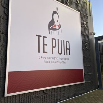 Te Puia - Museums Near Me - Rotorua, BOP