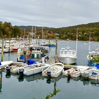 Bar Harbor / Oceanside KOA - Campgrounds Near Me - Bar Harbor, Maine