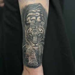 La Tinta uk - Tiger tattoo  Art collector Harry Souttar