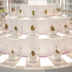 Cloud Cannabis Ann Arbor Dispensary - Cloud Cannabis Ann Arbor Dispensary