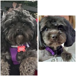 Before & After! Thank you, Randi! Before & After! Thank you, Randi!