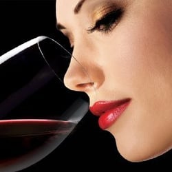 La Vinotheque