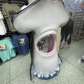 Gay Dolphin Gift Cove - Gift Shops Near Me - Myrtle Beach, South Carolina Gay Dolphin Gift Cove - Gift Shops Near Me - Myrtle Beach, South Carolina