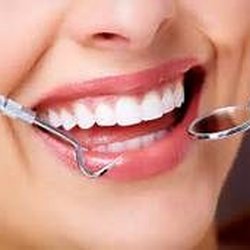 Mahine Mahajeri DDS MS - Post