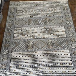 Rug before Spotless pick up