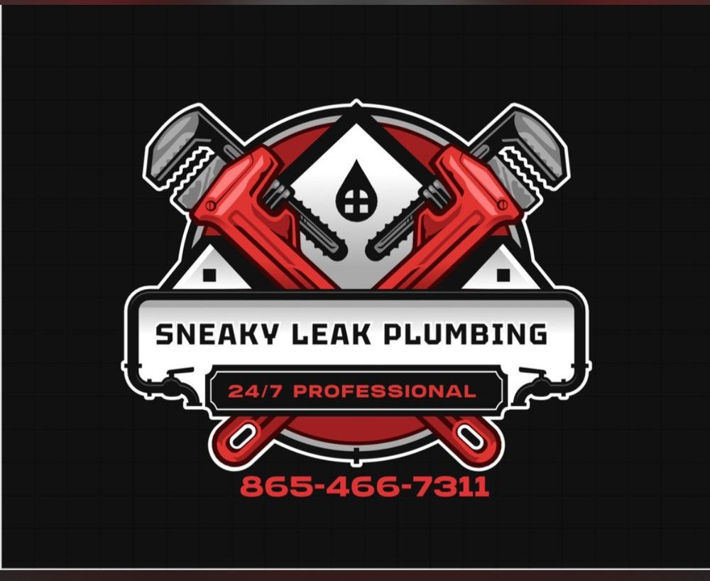 Slide of Sneaky Leak Plumbing