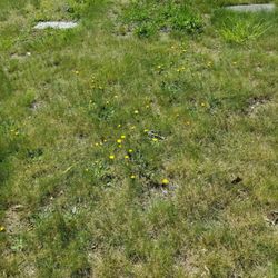 Hanover Center Cemetery