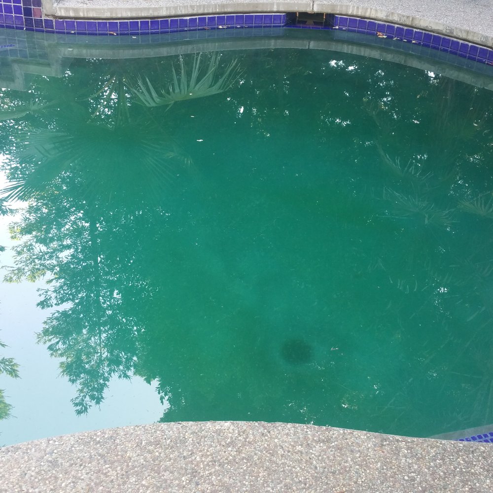 Anchor Pool Service - This was from last week and my so called weekly service looks 3x worst. This company has lazy techs that change over often. - Pool Cleaners Near Me