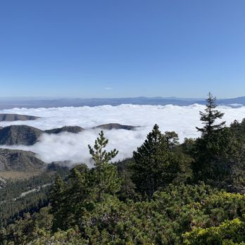 Old Mt. Baldy Trail - Hiking Near Me - Mount Baldy, California