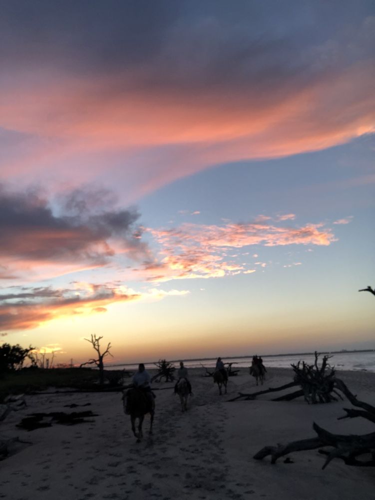 Three Oaks Farm - equestrian in Jekyll Island, GA
