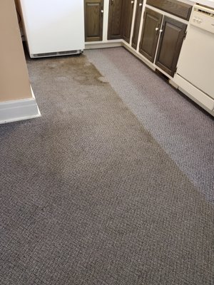 Commercial Carpet Cleaning - 20 years family owned/operated providing carpet & upholstery cleaning for commercial and residential Commercial Carpet Cleaning - 20 years family owned/operated providing carpet & upholstery cleaning for commercial and residential