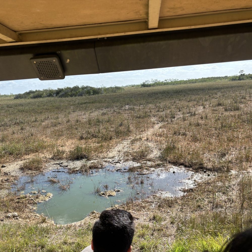 Shark Valley Tram Tours - Tours Near Me - Miami, Florida
