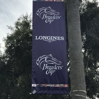 Del Mar Racetrack - Breeder's Cup, November 2017, Del Mar Racetrack. - Race Tracks Near Me - Del Mar, California Del Mar Racetrack - Breeder's Cup, November 2017, Del Mar Racetrack. - Race Tracks Near Me - Del Mar, California