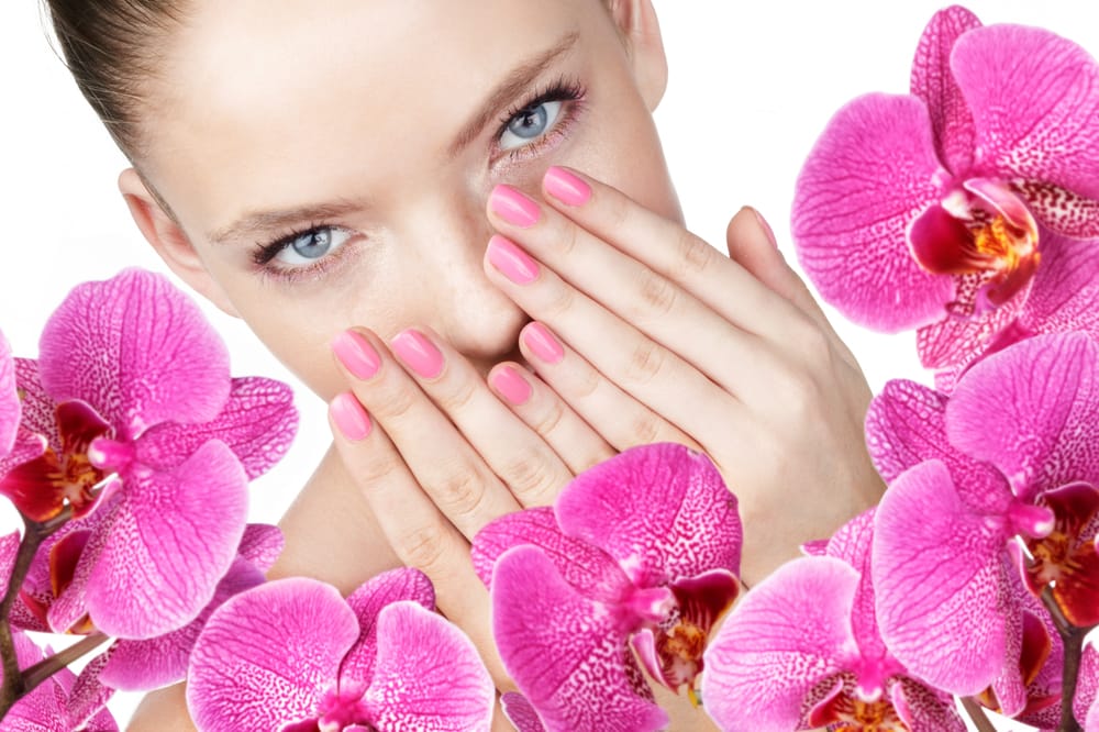 NAIL TRIX Updated September 2024 42 Photos 355 Hespeler Road