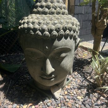 Sunkissed Med Spa - The garden at Sunkissed Med Spa, Haleiwa - Medical Spas Near Me - Haleiwa, Hawaii Sunkissed Med Spa - The garden at Sunkissed Med Spa, Haleiwa - Medical Spas Near Me - Haleiwa, Hawaii