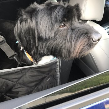 iPet Grooming - Pet Groomers Near Me - San Dimas, California