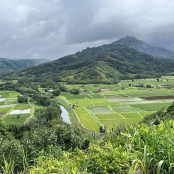 Hanalei Valley Lookout - View 2022 - Landmarks & Historical Buildings Near Me - Princeville, Hawaii Hanalei Valley Lookout - View 2022 - Landmarks & Historical Buildings Near Me - Princeville, Hawaii