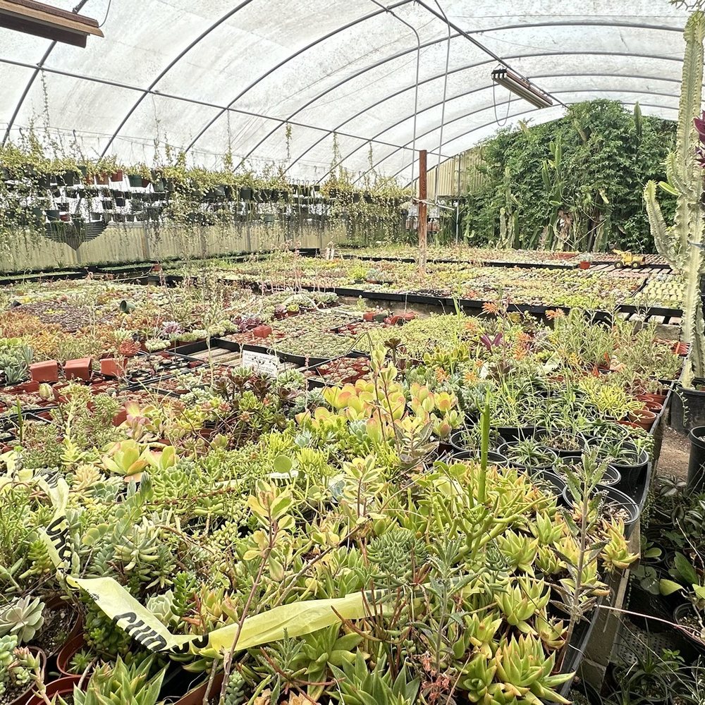 California Cactus Ranch - Greenhouse 2 inside - Nurseries & Gardening Near Me - Reseda, California California Cactus Ranch - Greenhouse 2 inside - Nurseries & Gardening Near Me - Reseda, California