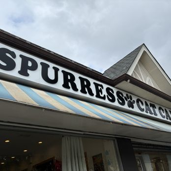 Espurresso Cat Cafe - Cute name - Cafes Near Me - Bayside, New York