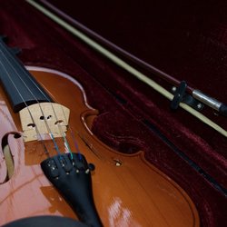 The Steve Mason Luthiers & Violin Shop