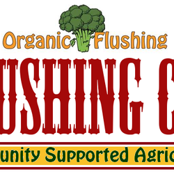 Flushing CSA - Check out Flushing CSA on Yelp!