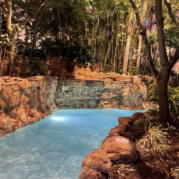 JW Marriott - Hotels Near Me - Orlando, Florida