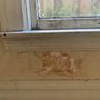 Bay Area Mold Pros