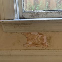 Bay Area Mold Pros - Water damage to plaster wall in old San Francisco flat inspected by Bay Area Mold Pros.