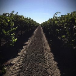 E-2 Family Winery - One of our favorite views.