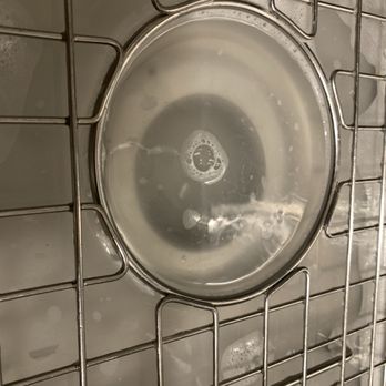 Dr Drain Rooter Service - Clogged drain after they hydro jetted twice. - Plumbing Near Me - Hollywood, California Dr Drain Rooter Service - Clogged drain after they hydro jetted twice. - Plumbing Near Me - Hollywood, California