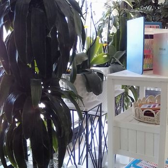 A Plus Nails - Nail Salons Near Me - Canoga Park, California