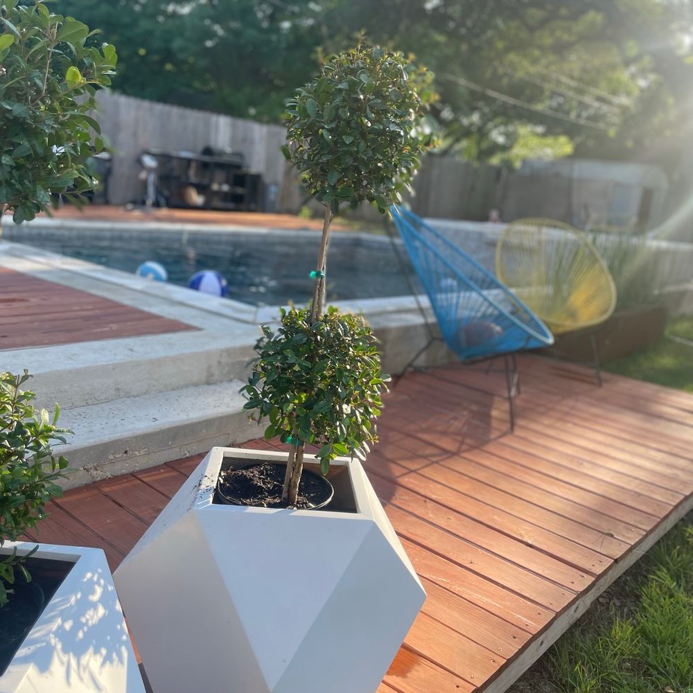 Sunnyside Spaces - Pool, deck, and plants by Sunnyside Spaces - Pool & Hot Tub Service Near Me - San Antonio, Texas Sunnyside Spaces - Pool, deck, and plants by Sunnyside Spaces - Pool & Hot Tub Service Near Me - San Antonio, Texas